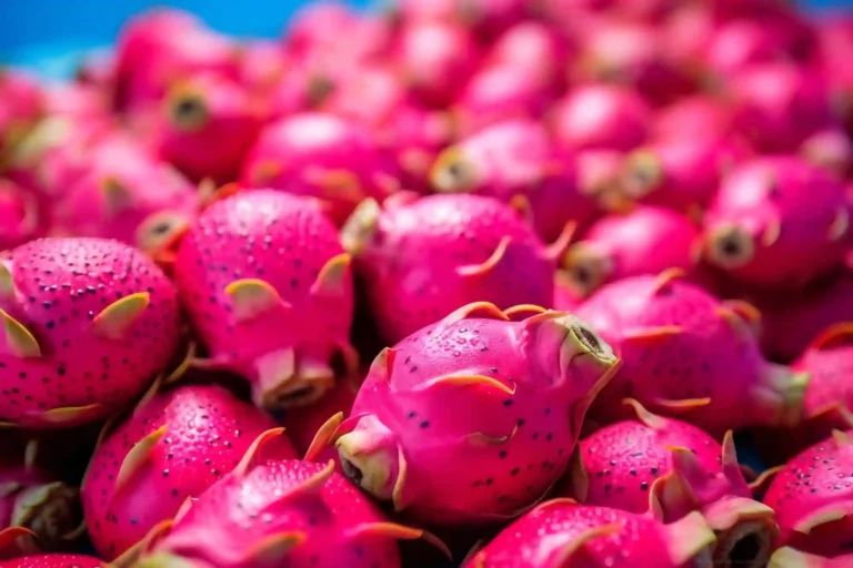dragon fruit farming